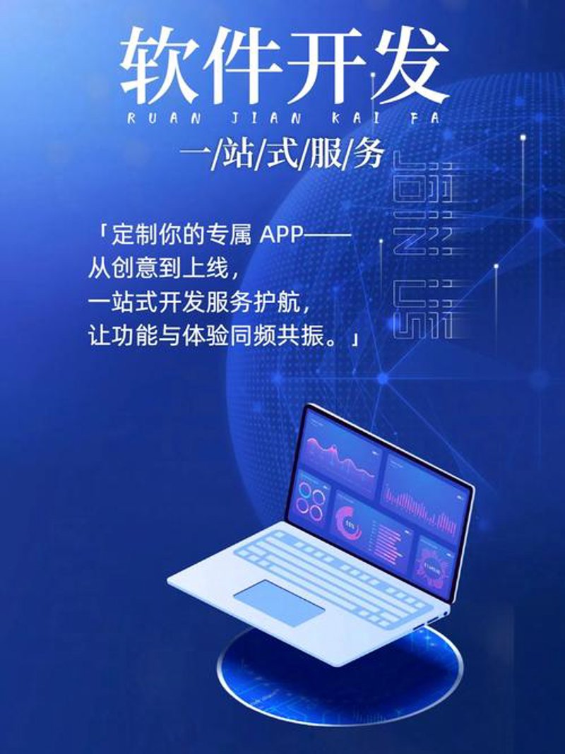 上海软件开发